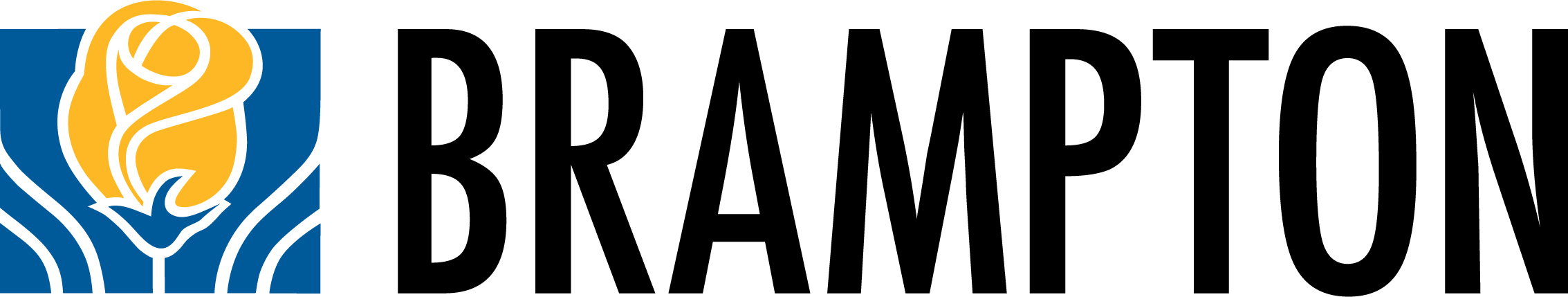 Logo Image for Ville de Brampton