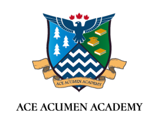 Logo Image for Ace Acumen Academy